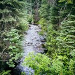 Halfway OR 23 A river flowing through a forest.