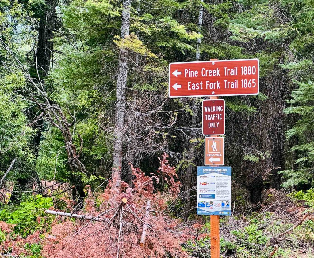 Halfway OR 21 Trail signs in a forest point to Pine Creek Trail 1880 and East Fork Trail 1865. A smaller sign below indicates Walking Traffic Only with a hiking symbol and additional informational signs beneath.